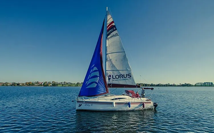 Hornet 29 „O'rly?"